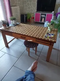 the woodcraft
