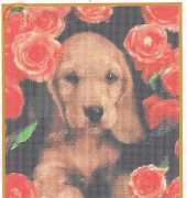 Mystic Stitch DOG-07 - Rosey