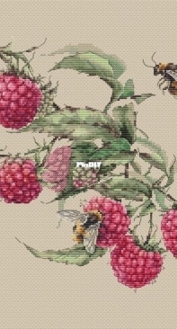 Ameli Stitch - Raspberry by Anna Smith/Kuznetsova XSD