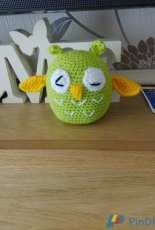 little owl