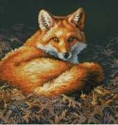 Dimensions 70-35318 Sunlit Fox XSD