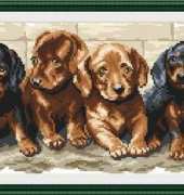 Megat 4111 Puppies (xsd)