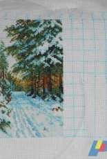 Winter scene