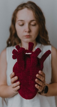 Mrs Crowlet _ crochet anatomical plushie Heart pillow pattern _ English
