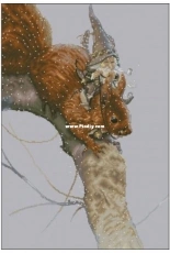 Lena Lawson Needlearts - Squirrel  by Jean-Baptiste Monge