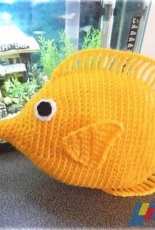 Paw Paws Studio - Yellow Tang