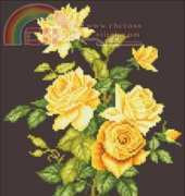 Red and yellow roses