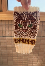 Cat Mitten