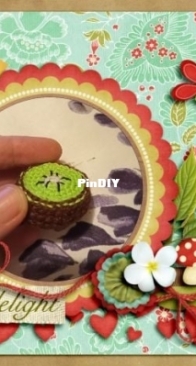 mini kivi