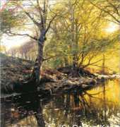 Golden Kite 2165 Forest Stream