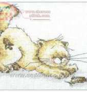 Anchor STC101 Solo The Cat - Cat And Mouse XSD