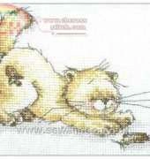 Anchor STC101 Solo The Cat - Cat And Mouse XSD