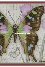 Chimera - Butterfly Vintage 11 by Jane Shasky
