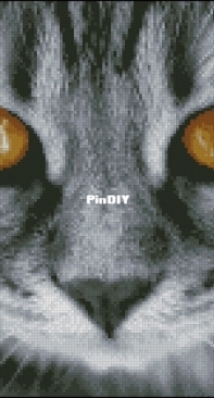 Long Time Project - Amber Eyes