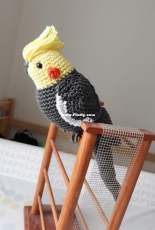My parrot
