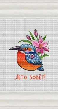 Kingfisher by Tascha Volk