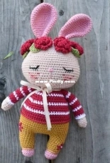 Meow amigurumi - Anh Le - Jaine - Gigi the Bunny