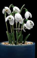 Happy Patty Crochet - Snowdrop