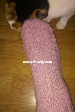 Tutti Fruti Socks by Raquel Martinez english, spanish