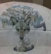 lobo