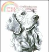 DMC BK 135 Golden Retriever