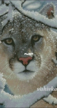 Puma by Nochka