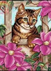 Zolotoe Runo K-008 Cats xsd + pcs