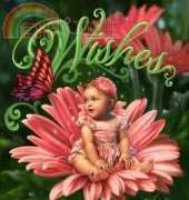 HAED HAEDJG 9806 Wishes by Dona Gelsinger