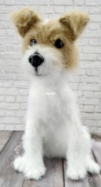 Aleksandra Olga Style - Natalia Stetsko-Retzlaff -Jack Russell Terrier