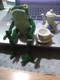 My Froggies