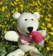 bear with ice cream