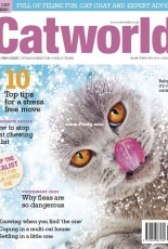 Cat World - February 2019
