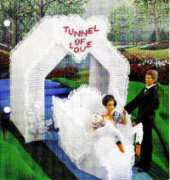 Annies Fashion Doll Plastic Canvas - Tunnel of Love