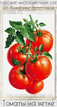 Tomatoes on a branch by Angelika Zolotova XSD