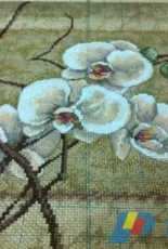 My flower