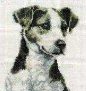 DMC BK138 Jack Russell Terrier