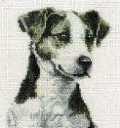 DMC BK138 Jack Russell Terrier