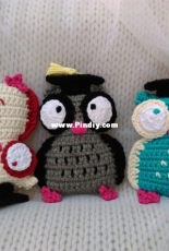 Owls