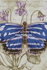 Chimera - Butterfly Vintage 8 by Jane Shasky