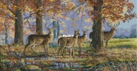 Merejka K-168 Under the Oaks XSD
