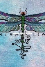 Mirabilia 2018 - Australian Dragon