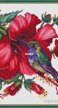 Hibiscus and Hummingbird by Victoria / Viktoriia Pakhomova