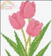 Pink tulips Ann Logan