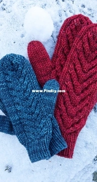 Antler Mittens - Emily Wessel - Tin Can Knits