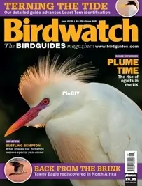Birdwatch UK - Issue 408 - June 2026