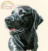 Heritage Stitchcraft APCH859 Animal Portraits - Chester XSD