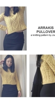 Arrakis Pullover by Joan Ho
