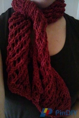 Mesh Scarflette by Beth Newman /Susquehanna Knitting Company-Free