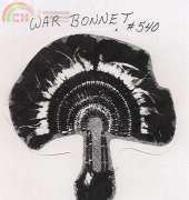 Boleks-540 War Bonnet Wall Hanging