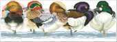 Wild Ducks by Jayne Netley Mayhew from Cross Stitch Gold 8 XSD